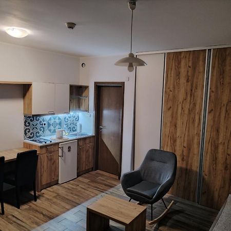 Centar Novi Sad-Apartman No 1 Bagian luar foto