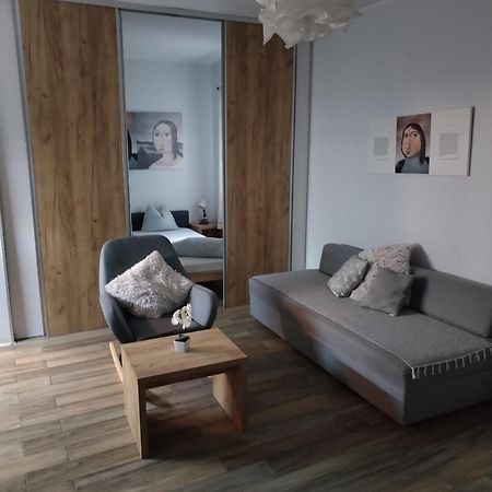 Centar Novi Sad-Apartman No 1 Bagian luar foto