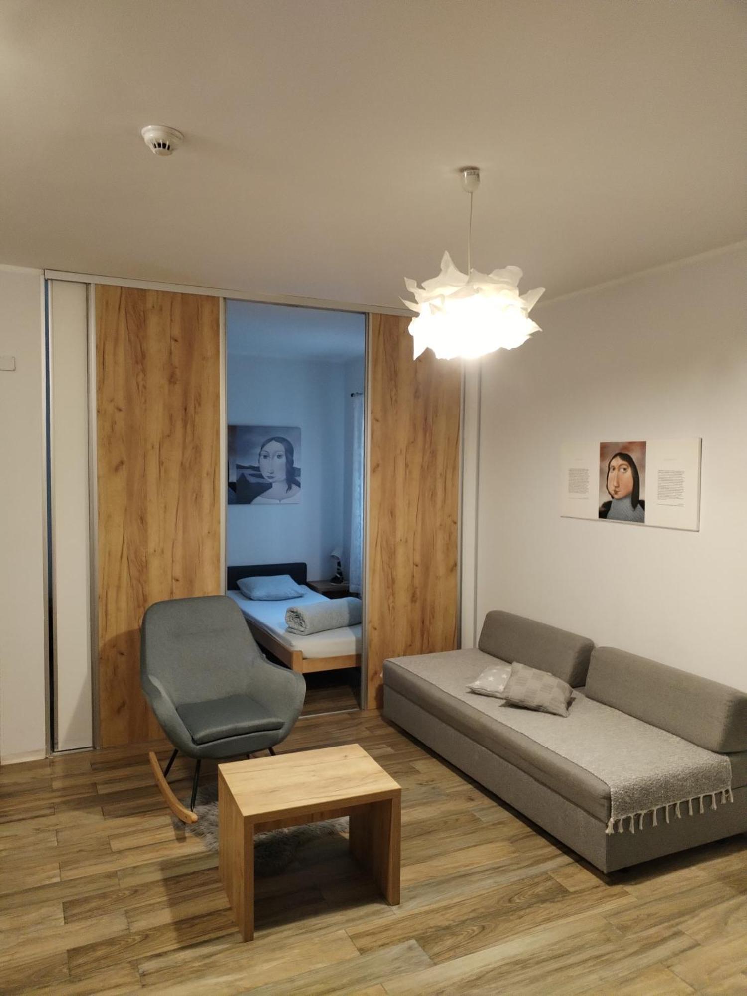 Centar Novi Sad-Apartman No 1 Bagian luar foto