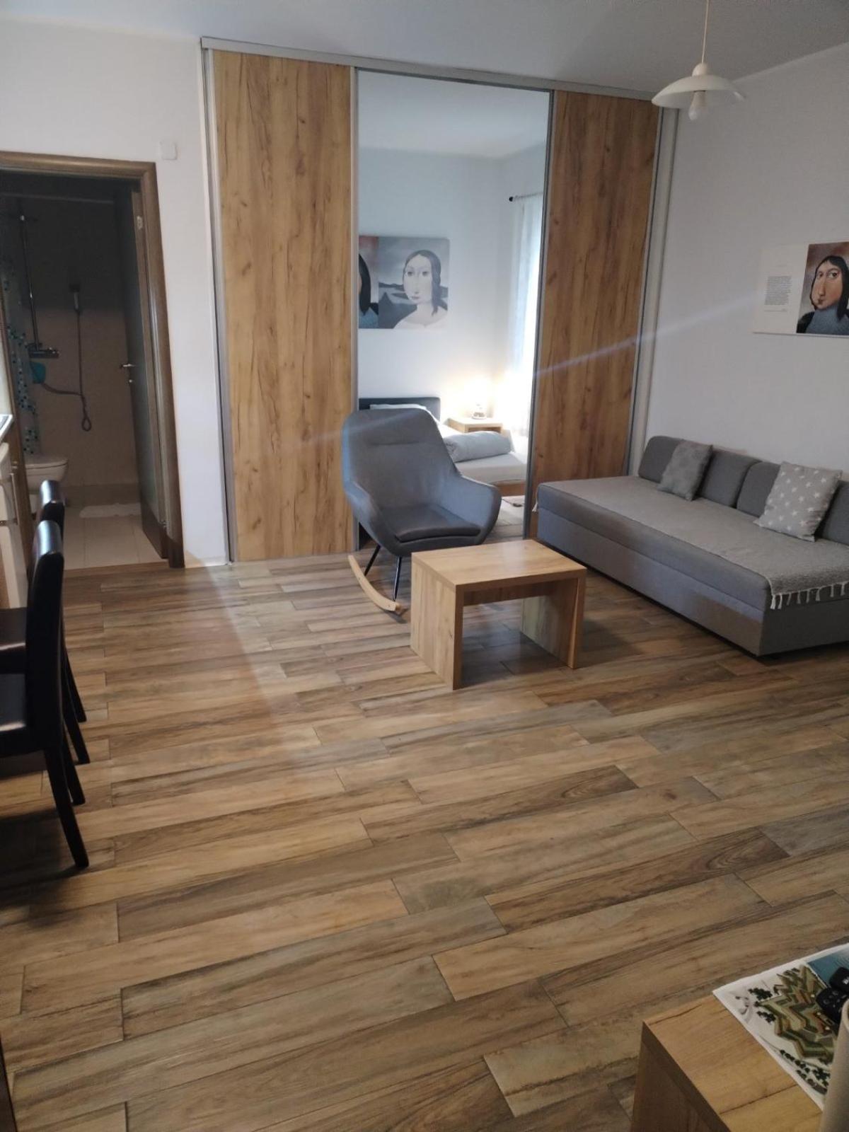 Centar Novi Sad-Apartman No 1 Bagian luar foto